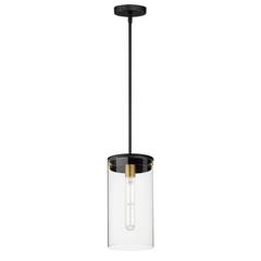 Pinn large pendant